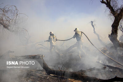مهار آتش‌سوزی منطقه حفاظت شده «بوزین و مره‌خیل»