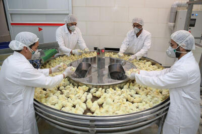 واحد جوجه کشی، حلقه مفقوده زنجیره تولید گوشت مرغ در خراسان شمالی