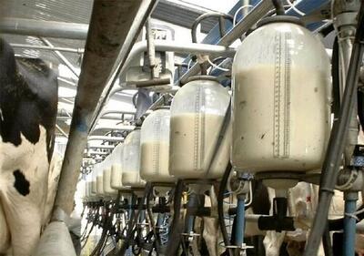 تولید شیر در قزوین ۴درصد افزایش یافت