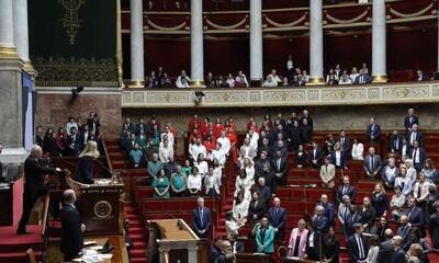 ببینید | لباس‌ نمایندگان پارلمان فرانسه به رنگ پرچم فلسطین درآمد