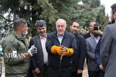 پیام استاندار تهران به مناسبت گرامیداشت هفته ملی محیط زیست 