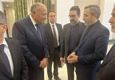 رایزنی   علی باقری   با وزیر خارجه مصر - تسنیم