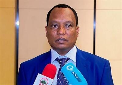 ارائه توافقنامه اتیوپی - سومالی‌لند به پارلمان - تسنیم