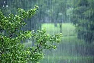 چتر باران بر سر خراسان جنوبی