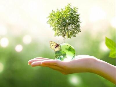 افتتاح ۱۵ طرح زیست محیطی به مناسبت هفته محیط زیست