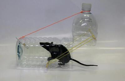 ساخت تله موش با بطری آب / روشی برای به دام انداختن موش های کوچک و بزرگ !