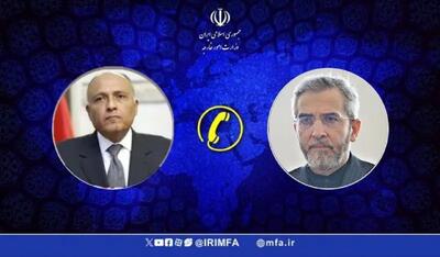 گفتگوی تلفنی سرپرست وزارت امور خارجه  با سامح شکری وزیر امور خارجه مصر