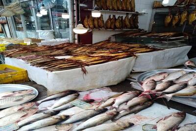 صید ماهی از سفره مردم/ سرانه مصرف ماهی در ایران کاهش یافت