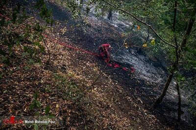 دادستان کرمانشاه: همه دستگاه‌ها برای مقابله با آتش‌سوزی مراتع و جنگل‌ها آماده باشند