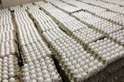 قیمت تخم مرغ در بازار کنترل میشود / به زودی قیمت ها کاهش می یابد