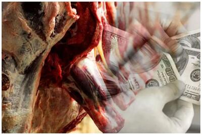 تغییرات عجیب قیمت گوشت گاو و دلار از سال 96 تا امروز + عکس