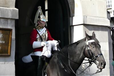 ببینید | رفتار متفاوت و جالب اسب کاخ باکینگهام انگلیس با یک سرخ‌پوست