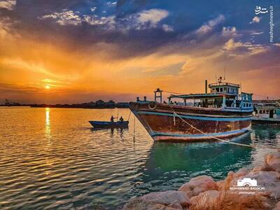 در ستایش سواحل زیبای بوشهر +عکس