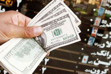 عکس| قیمت دلار و ارز امروز شنبه ۱۹ خرداد ۱۴۰۳ / دلار باز هم گرفتار شد