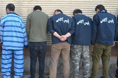 بازداشت ۵ مالخر حرفه‌ای در تهران
