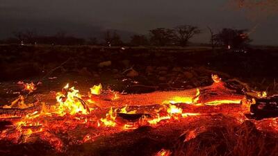 (ویدئو) آتش‌سوزیِ جنگل‌های پاوه هنوز مهار نشده