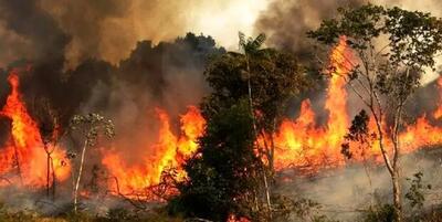 ۵۰ هکتار از اراضی ملی پلدختر در آتش سوخت