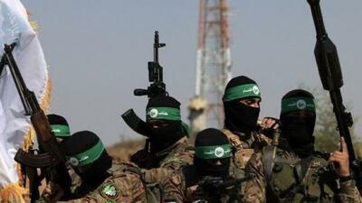 رای‌الیوم: عملیات مقاومت فلسطین افزایش یافته است