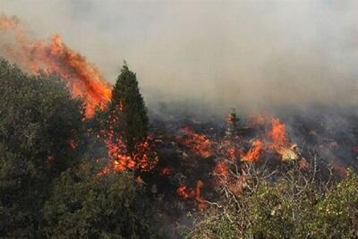 احتمال بروز آتش سوزی‌های بیشتر در مراتع و جنگل‌های خراسان شمالی نسبت به پارسال