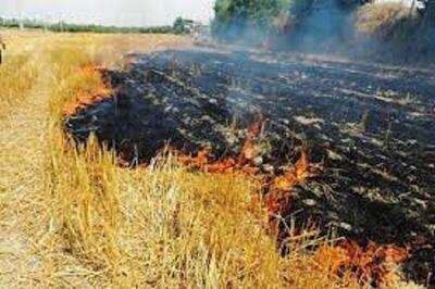 برخورد قانونی با کشاورزانی که بقایای مزارع خود را آتش می‌زنند