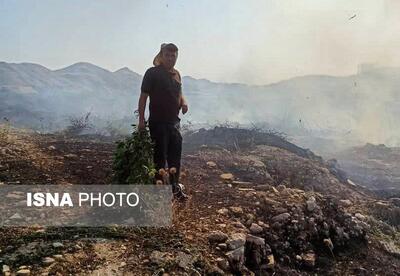 آتش‌سوزی جنگل‌های«نارک»گچساران همچنان ادامه دارد