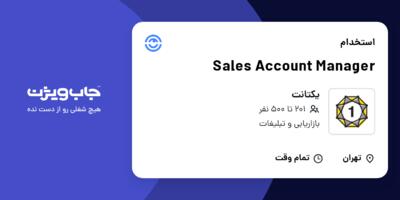 استخدام Sales Account Manager در یکتانت