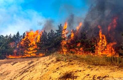 جنگل‌های پاوه همچنان در آتش می‌سوزد/ ویدئو