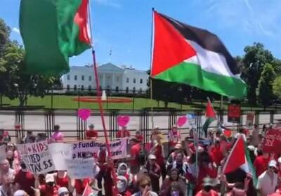 تظاهرات حامیان فلسطین مقابل کاخ سفید