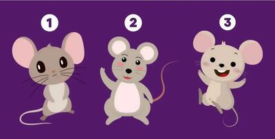 تست روانشناسی | یک موش انتخاب کن تا بگم چقدر ترسویی