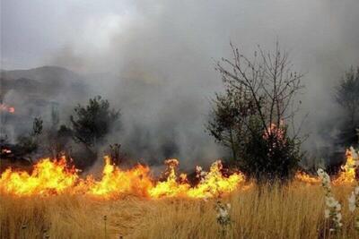 فرماندار مریوان‌: موضوع آتش سوزی جنگل ها و مراتع ‌نگران‌کننده است