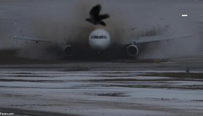 لحظه وحشتناک برخورد هواپیمای ایرباس با ماشین آتش‌نشانی روی باند؛ آتش گرفتن هواپیما (فیلم)