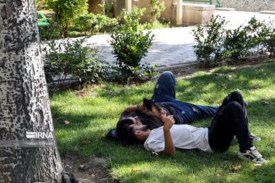 بازی همستر جوانان ایرانی را دچار جنون کرد + عکس