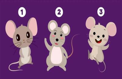 تست روانشناسی موش / 1 موش انتخاب کن تا بگم چقد ترسویی !