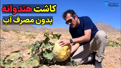 (ویدئو) روش های کشاورزی بدون آبیاری؛ نحوه کشت هندوانه بدون مصرف آب