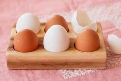 قیمت تخم مرغ در بازار امروز ۲۰ خرداد ۱۴۰۳