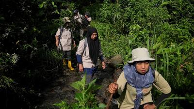 (ویدئو) زنانی که برای حفظ جنگل‌ها هنجار‌ها را زیر پا می‌گذارند