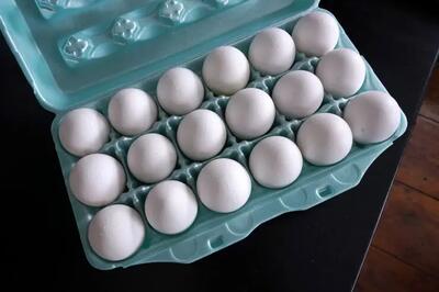 تخم مرغ ایرانی سر از روسیه درآورد | قیمت جدید تخم مرغ در بازار