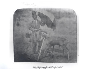 ناصرالدین شاه به چه حیواناتی علاقه داشت؟ | گزارش تصویری همشهری از حیوانات خانگی پادشاهان قاجار