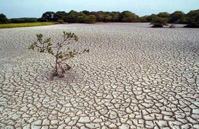 شمار دوره های خشکسالی فارس بیشتر از ترسالی است/ پیوسته با تنش آبی روبرو هستیم/ فرونشست ها به معنای پایان ظرفیت آب پذیری خاک است