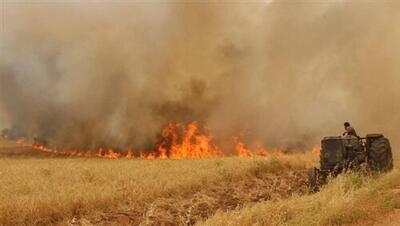 ضرورت ارایه راهکار برای مشکل سوزاندن کاه و کلش مزارع در خوزستان