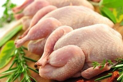 صادرات مرغ تا پایان خرداد ادامه دارد