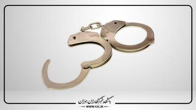 عامل تیراندازی در پارک نوید محمدی در شیراز دستگیر شد