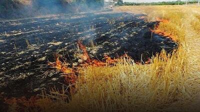 ممنوعیت قانونی آتش زدن بقایای محصولات کشاورزی در قزوین