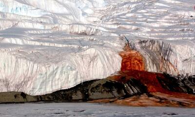 «آبشارهای خونین» قطب جنوب از کجا سرچشمه می‌گیرند؟ (+عکس)