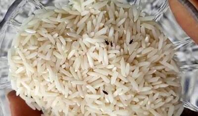 3 راه از بین بردن تضمینی حشره برنج