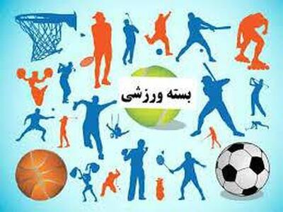 درخشش ورزشکاران استان در رقابت‌های بین المللی مچ اندازی تهران