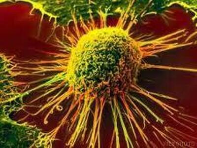 پیشگیری از انواع سرطان با تقویت سیستم ایمنی بدن