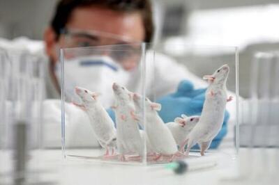 چهارمین سمینار ملی فناوری‌های جایگزین حیوانات آزمایشگاهی برگزار میشود