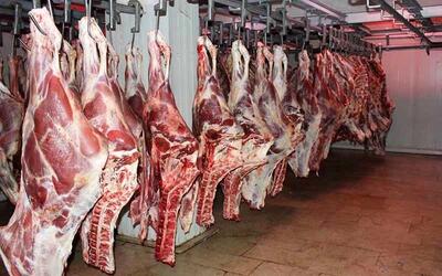 قیمت جدید گوشت گوسفندی امروز ۲۱ خرداد ۱۴۰۳+ جدول | اقتصاد24