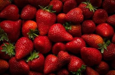 چه کسانی نباید توت فرنگی بخورند؟ | اقتصاد24